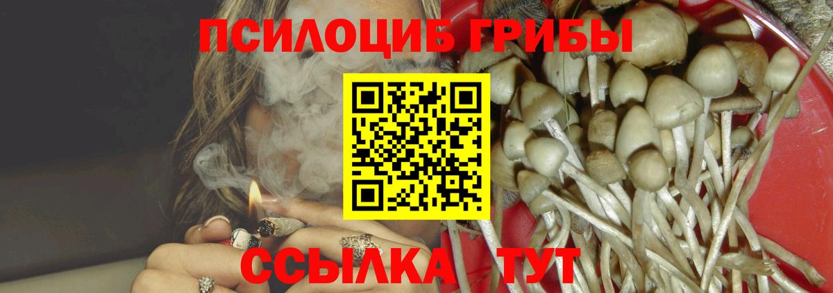 Псилоцибиновые грибы MAGIC MUSHROOMS  наркошоп  Домодедово  Вход с VPN  Псилоцибиновые грибы MAGIC MUSHROOMS 